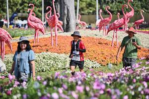 BIB: 
                            <button type="button" onclick="openModal(27794156)" class="btn btn-primary btn-sm float-right btn-popup" data-toggle="modal" data-target=".modal-high-quality">
                        <i class="fas fa-shopping-cart"></i> Add to Cart
                    </button>
                                            <button type="button" onclick="isThisMe(27794156, true)" class="btn btn-success btn-sm float-right btn-popup btn-isme hidden" data-toggle="tooltip" data-placement="bottom" title="นี่คือรูปของคุณใช่ไหม คลิกที่นี่เพื่อเอาเข้าอัลบั้ม">
                        <i class="fas fa-plus"></i> Add to album
                    </button>
                    <button type="button" onclick="isThisMe(27794156, false)" class="btn btn-warning btn-sm float-right btn-popup btn-isnotme hidden">
                        <i class="fas fa-ban"></i> Remove from album
                    </button>